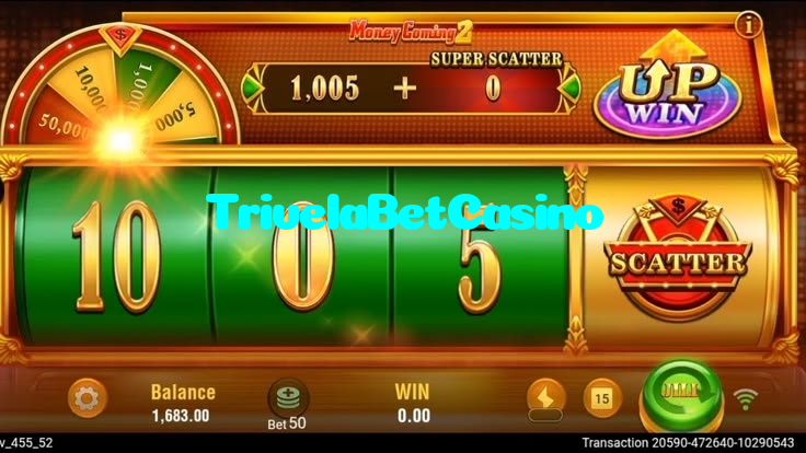 available types of TrivelaBetCasino bet including pre-match live express and system bets